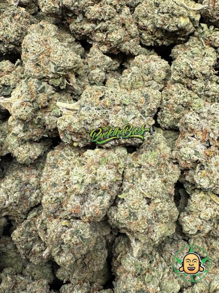 SFV OG