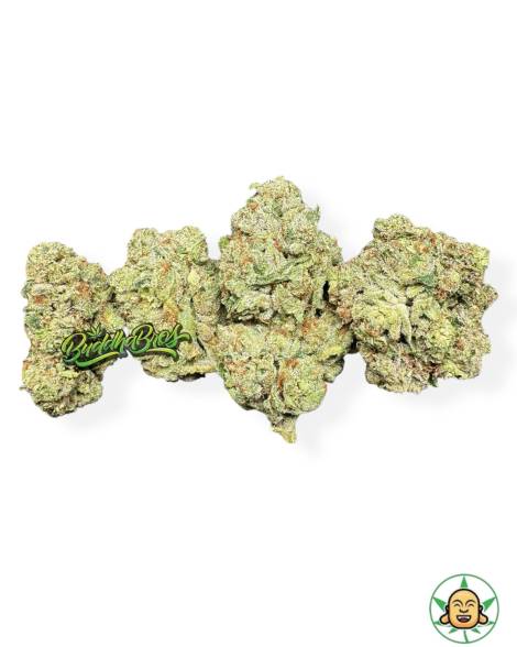 Reckoning OG