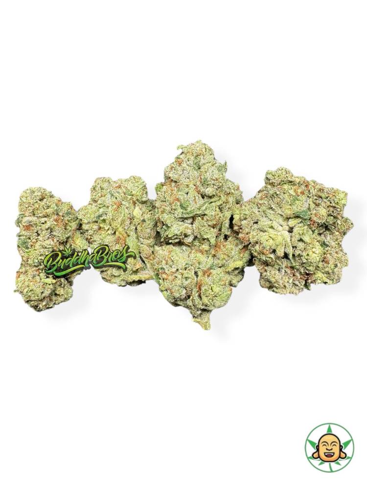 Reckoning OG