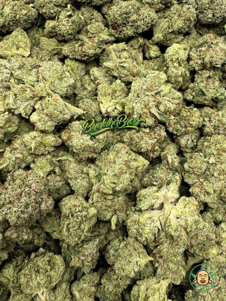 Reckoning OG