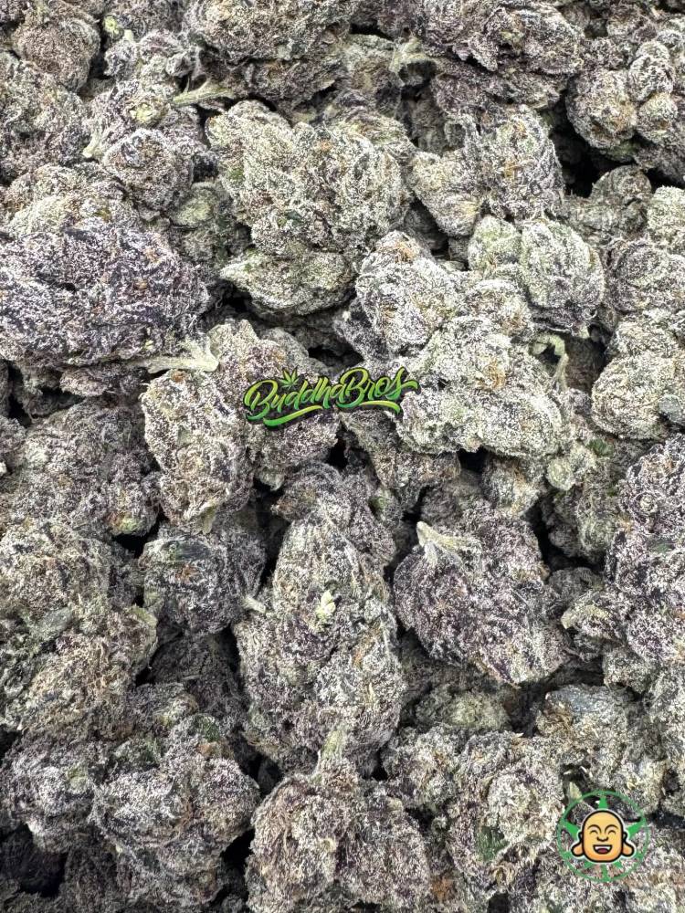Purple Galaxy