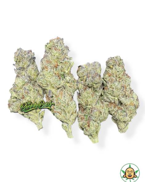 BlackBerry Kush