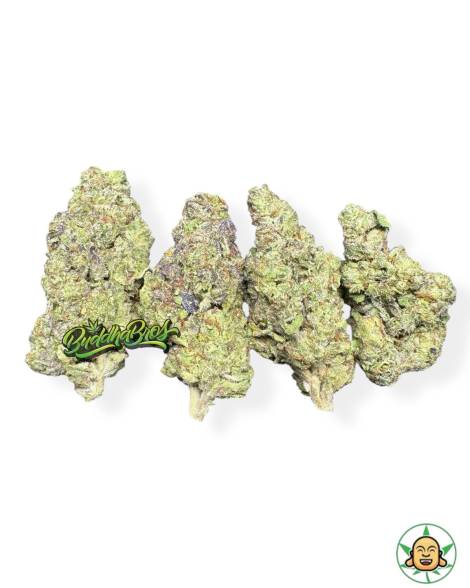 Candy Cookies