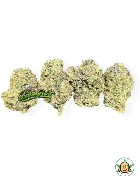 Rainbow Kush