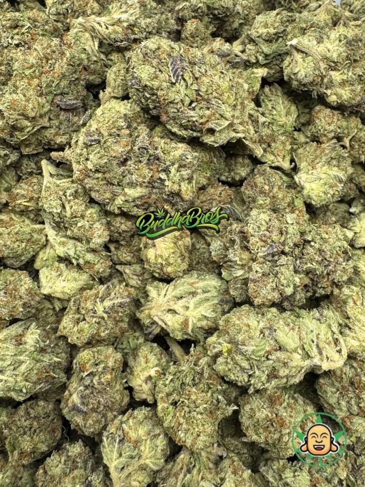 Rainbow Kush