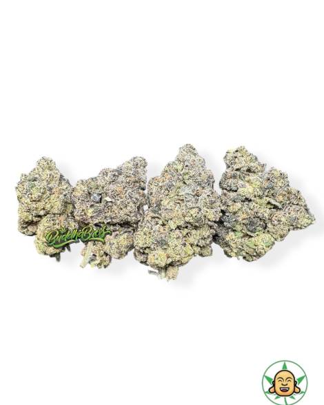 Lemon Cherry Gelato