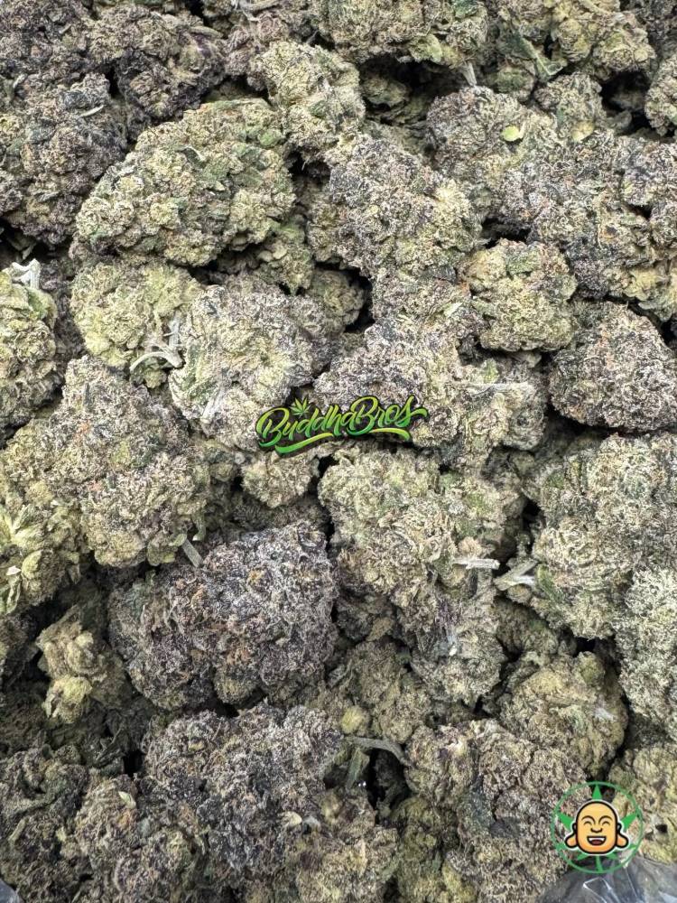 Lemon Cherry Gelato
