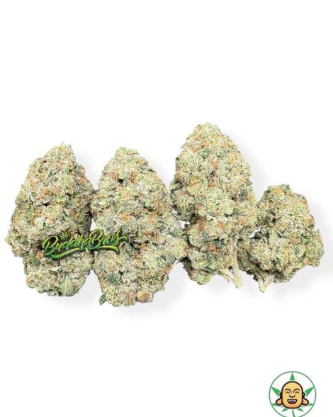 Durango OG