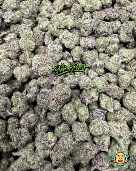 Noho Gelato Mediums