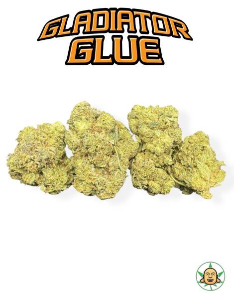 Gladiator Glue