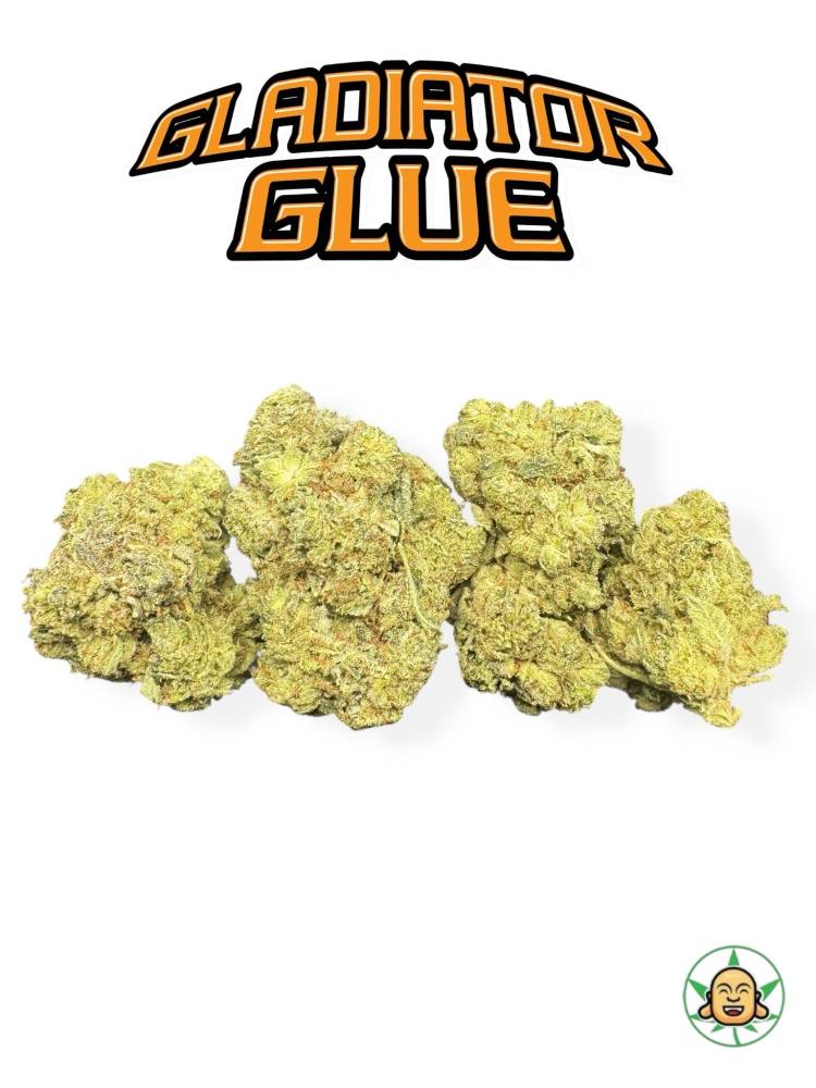Gladiator Glue