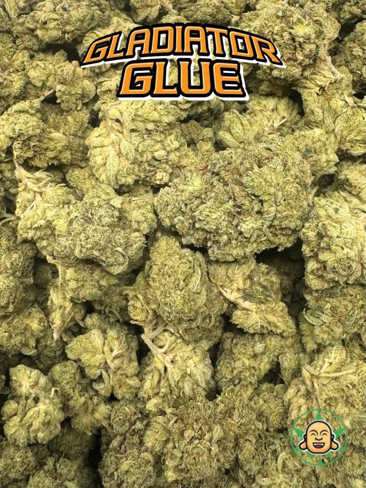 Gladiator Glue By BuddhaBrosLA (CLEARANCE) - Image 2