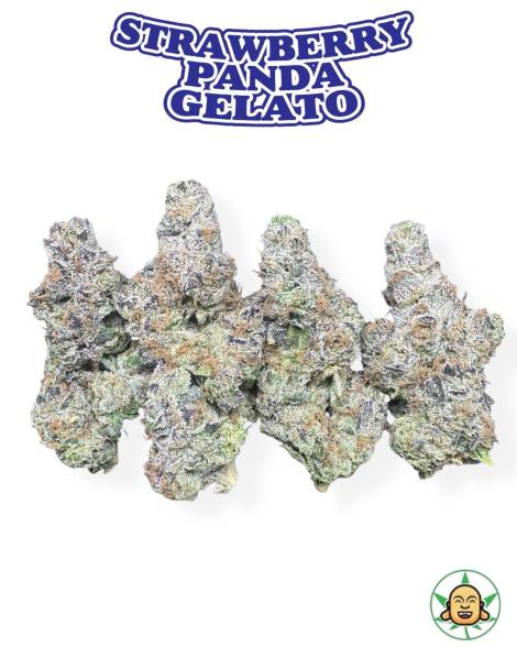 Strawberry Panda Gelato
