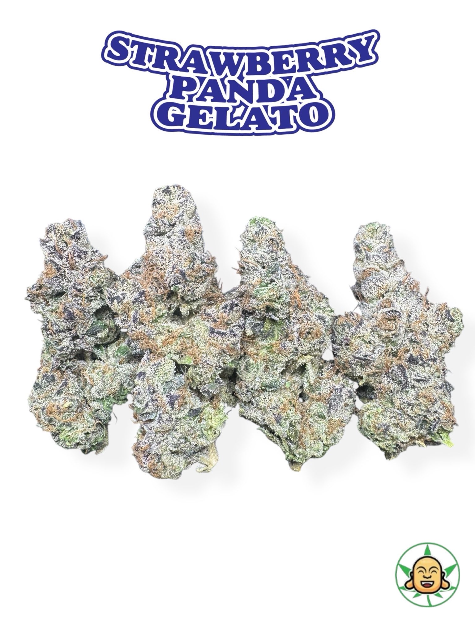 Strawberry Panda Gelato