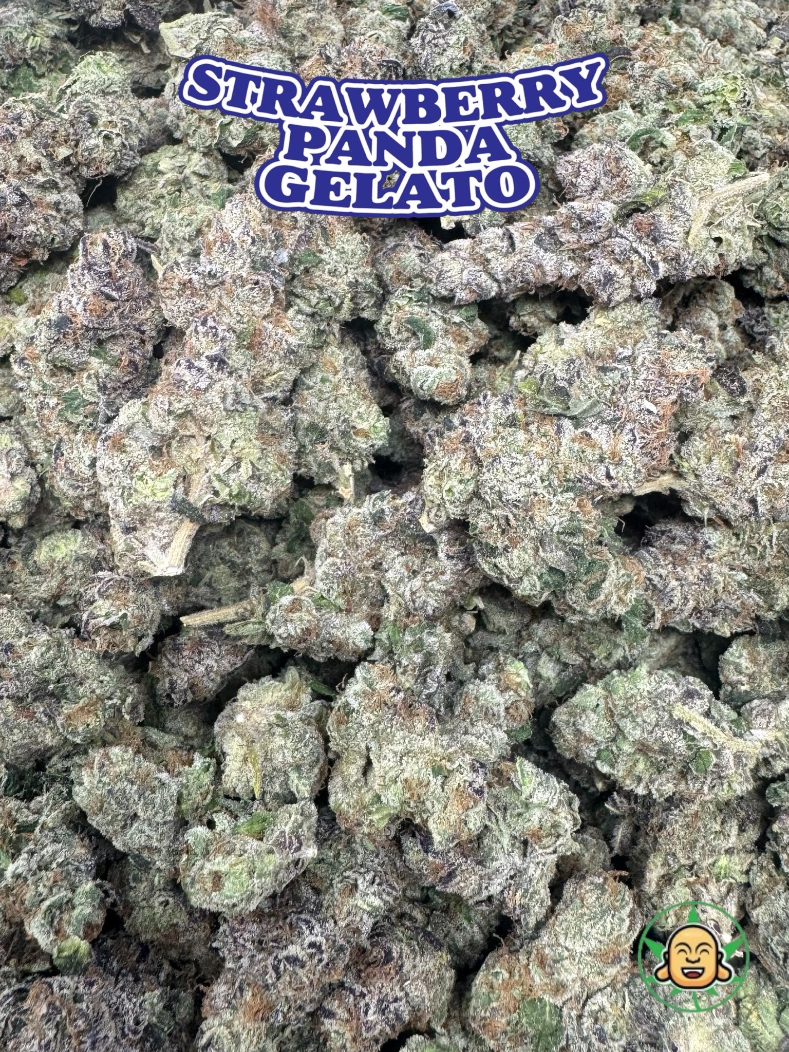 Strawberry Panda Gelato by BuddhaBrosLA - Image 3