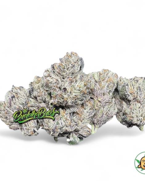 Purple Reign