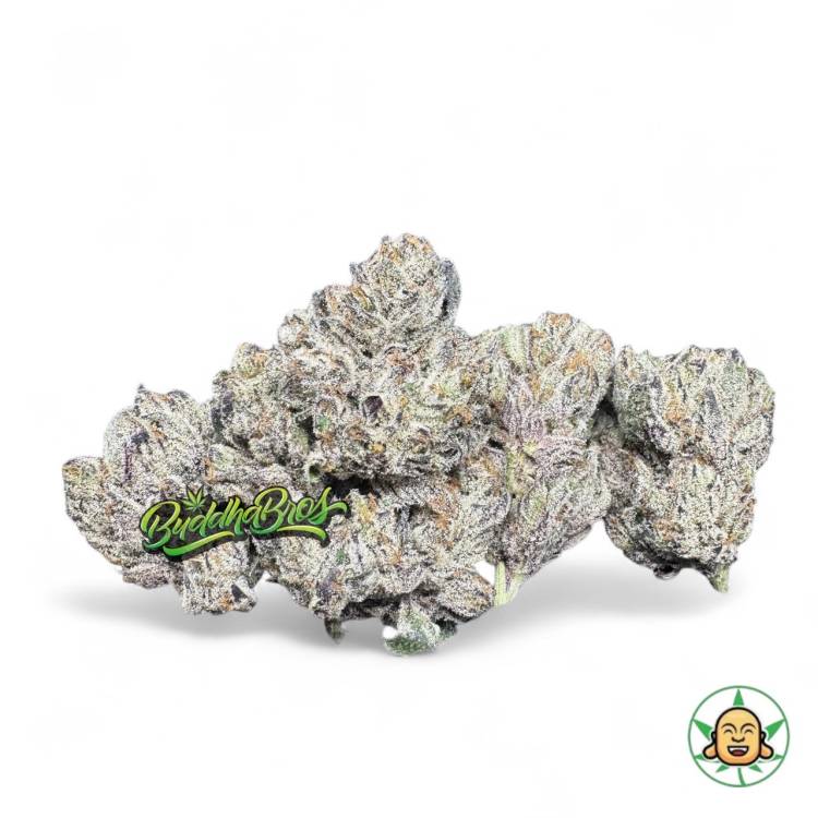 Purple Reign