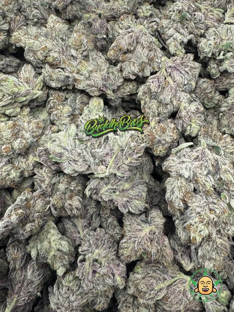 Purple Reign