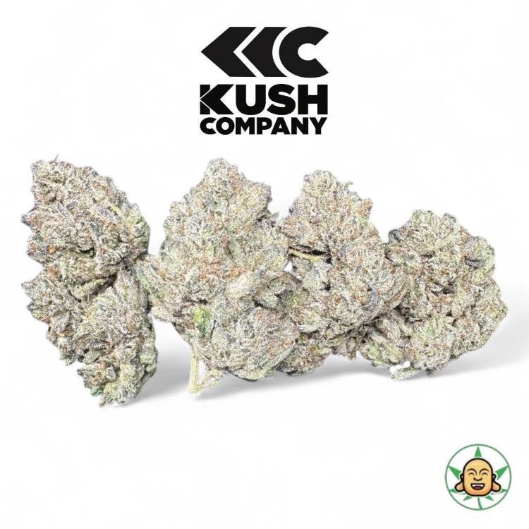 Monte Carlo By KushCo