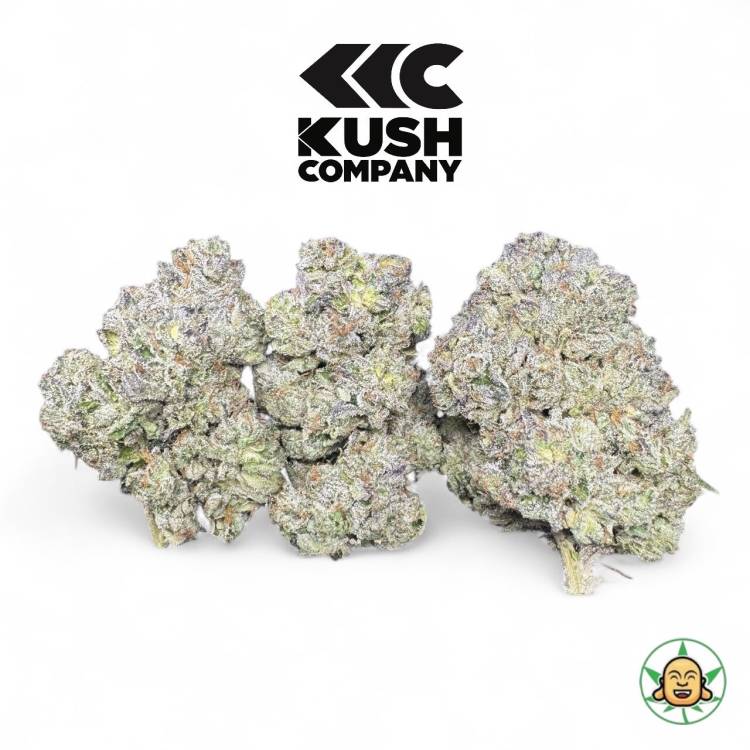 Sour Power OG