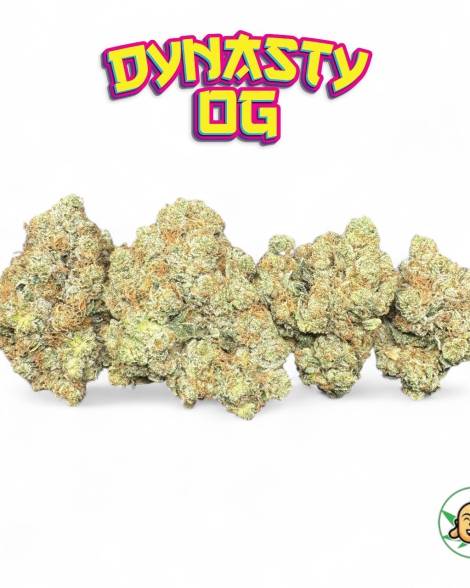 Dynasty OG