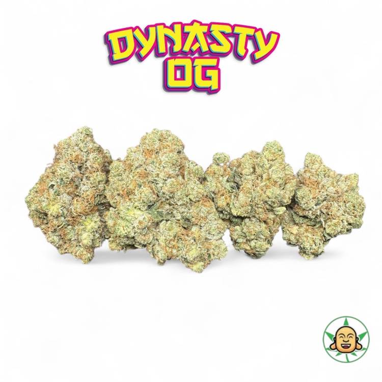 Dynasty OG