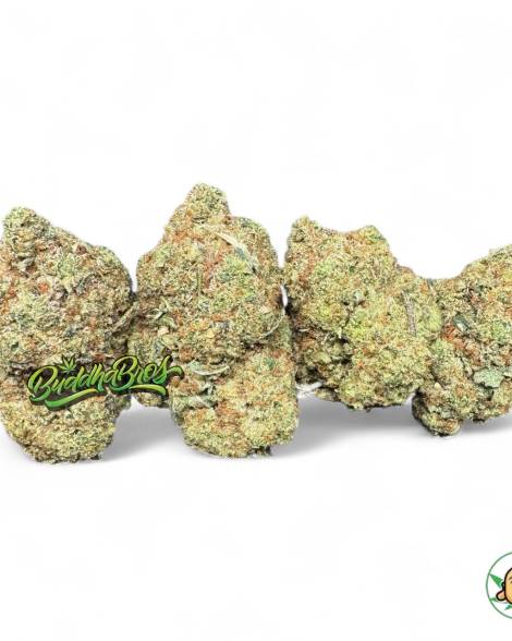 SFV OG