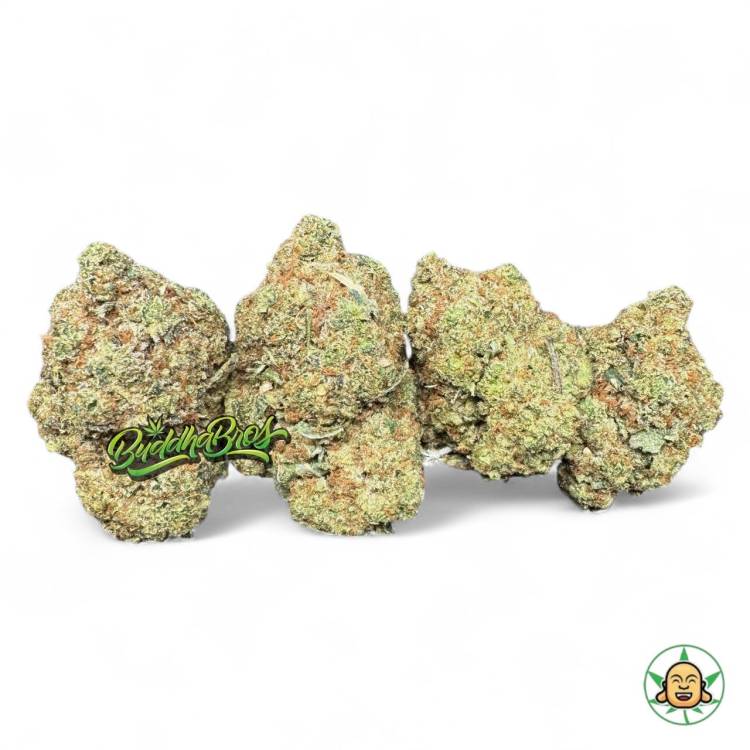 SFV OG