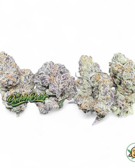 Galactic Warheadz
