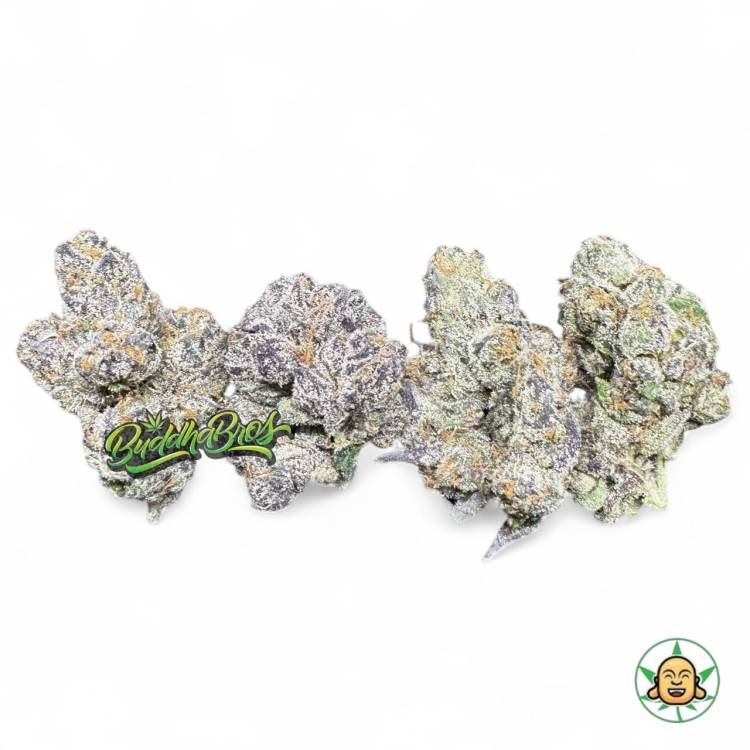 Galactic Warheadz