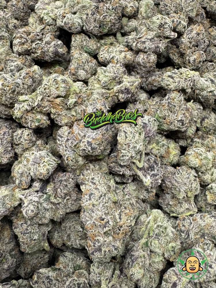 Galactic Warheadz