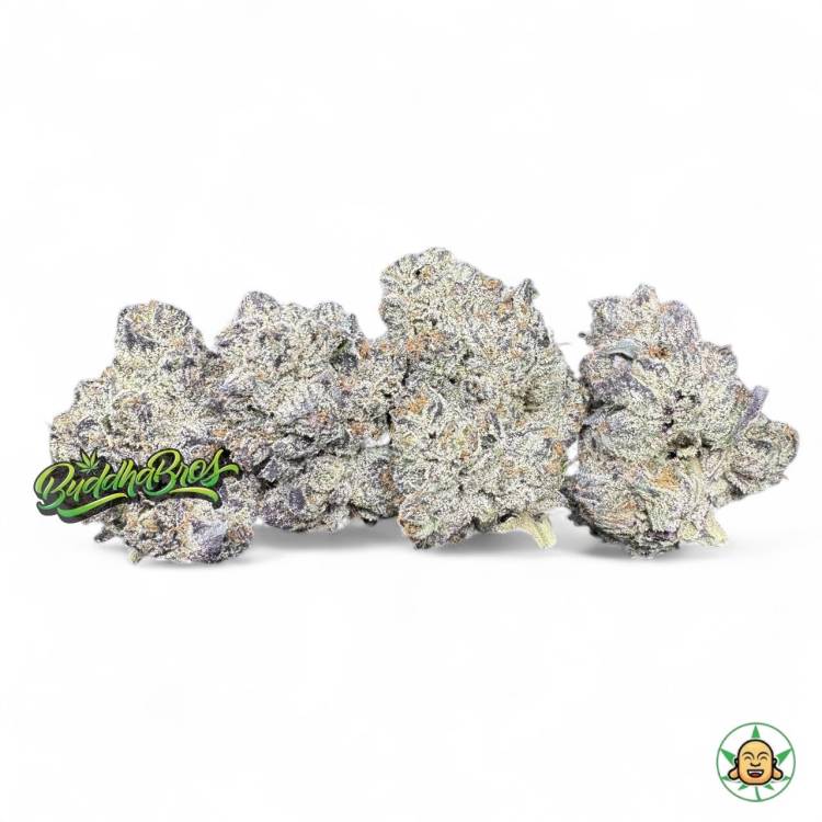 Alien Rock Candy