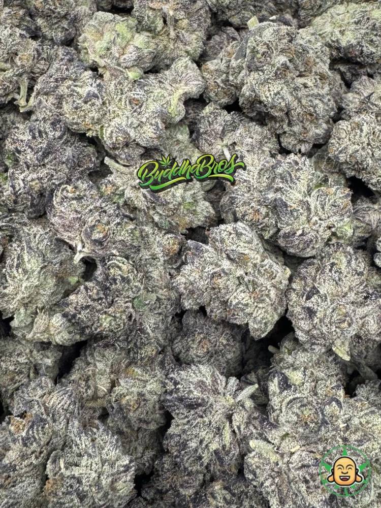 Alien Rock Candy