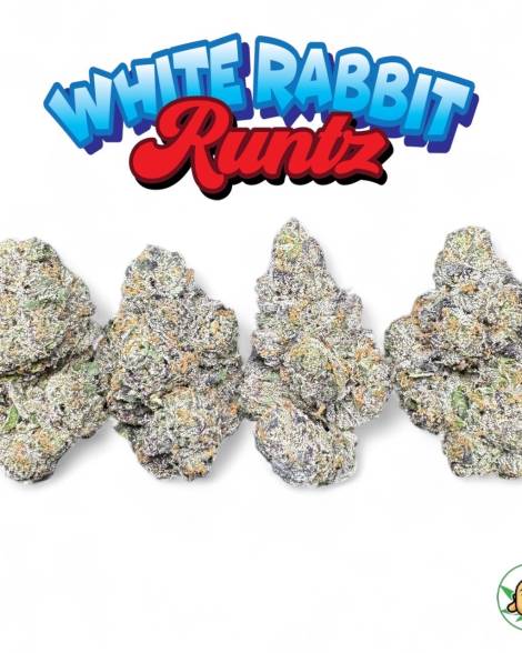 White Rabbit Runtz