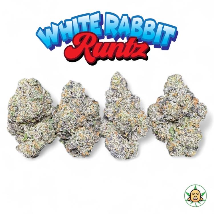 White Rabbit Runtz
