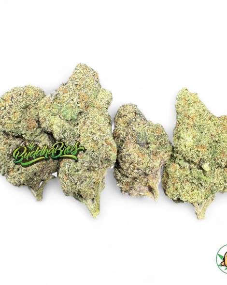 GMO Breath