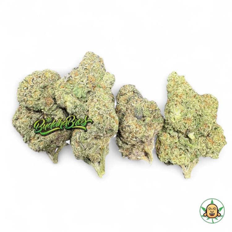 GMO Breath