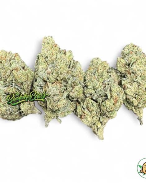 Legend OG