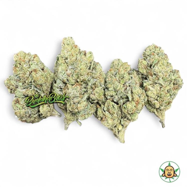 Legend OG