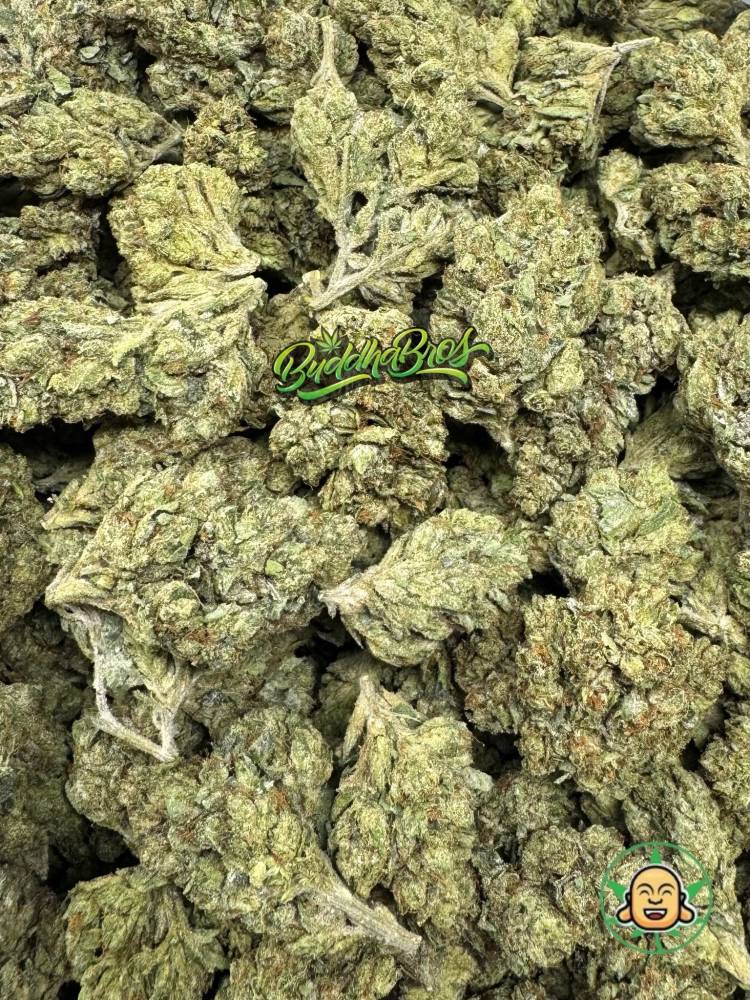 Legend OG