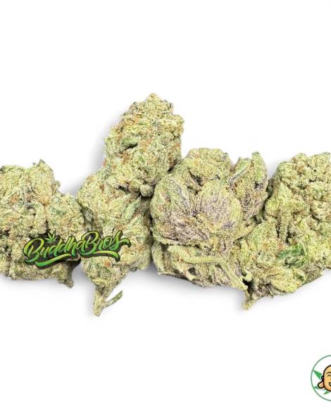 Lemon Tartz