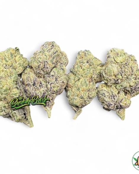 Cherry Zelato