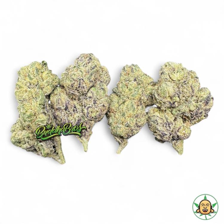 Cherry Zelato