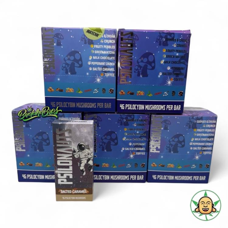 Psilonauts (4G Mushroom Chocolates) - Image 3