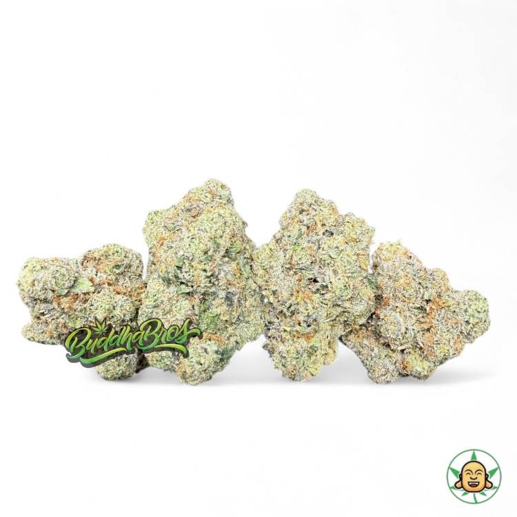 Candy Tartz