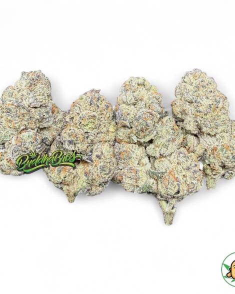 Sherbet Candiez