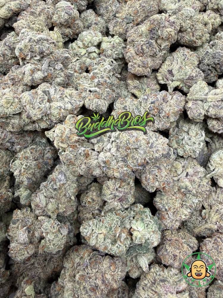 Sherbet Candiez