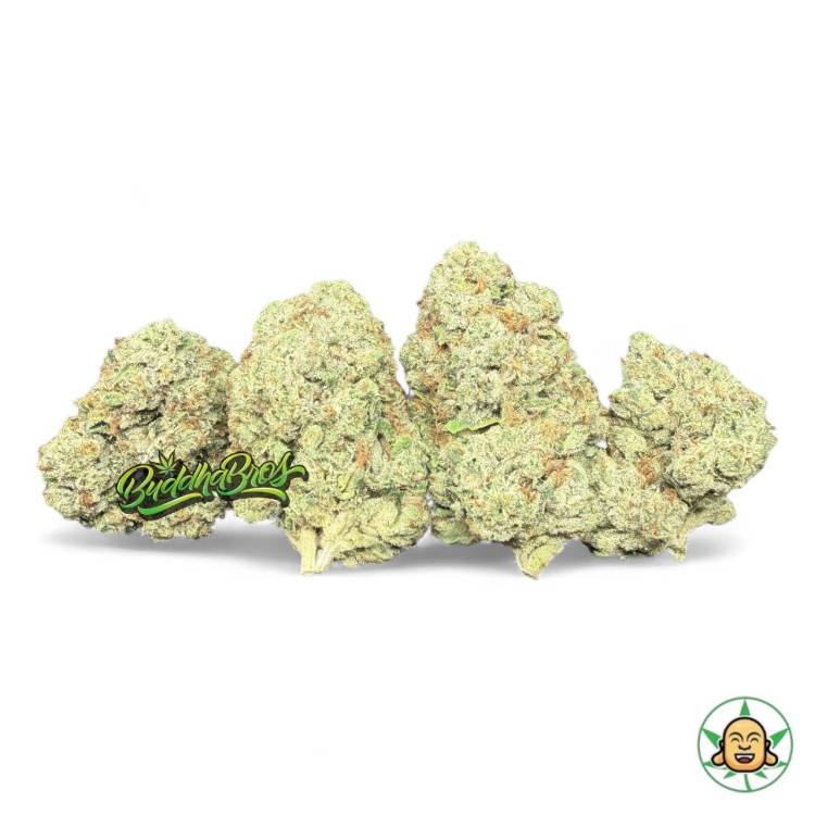 Illuminati OG
