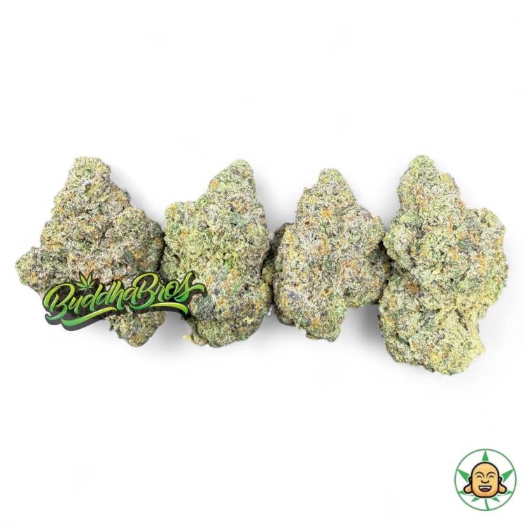 Blizzard Berry
