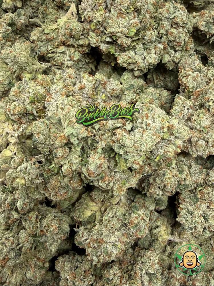 SFV OG
